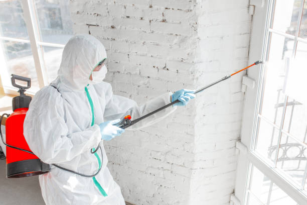 Best Asbestos and Lead Testing During Mold Inspection  in Newington Forest, VA